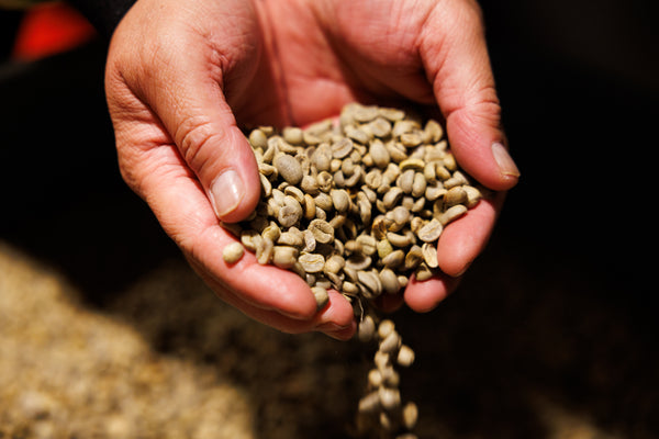 House of Uncommon Grounds Roastery